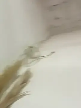 salo-rousee from StripChat is Freechat