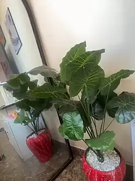 Savage_baby from StripChat