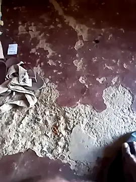 sexicaribe2 from StripChat is Freechat