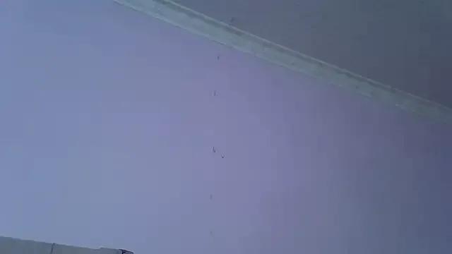 springbock56 from StripChat is Freechat