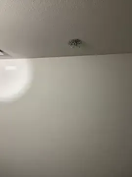 stripchatbusiness from StripChat is Freechat