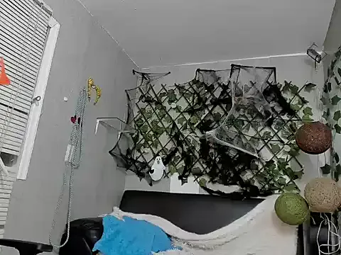 the_angell from StripChat is Freechat