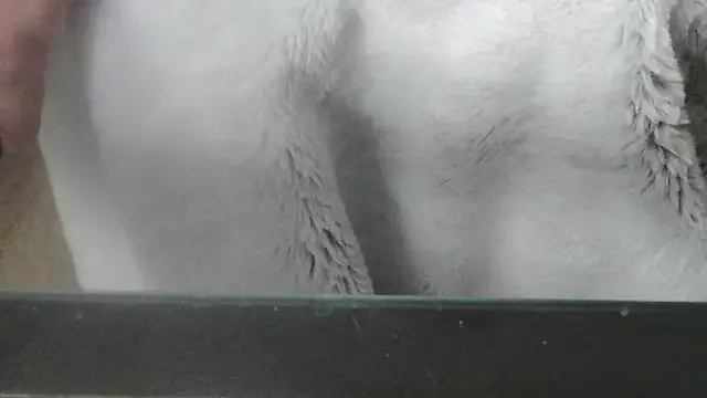 we_are_fucking_serious from StripChat is Freechat