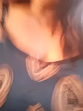 zeevaansari from StripChat is Freechat