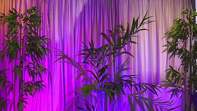 ZennySings from StripChat