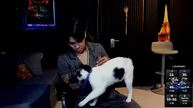 Girls: try live performances with matured performers, from dancing to quirks, in a variety of beautiful sex cams.