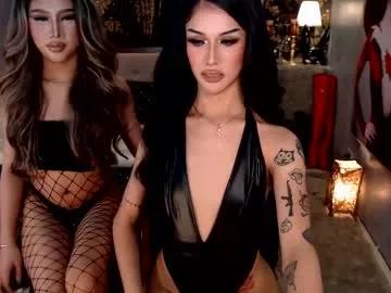 horsecockmadison from Chaturbate is Freechat