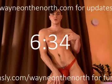 waynenorth from Chaturbate is Freechat