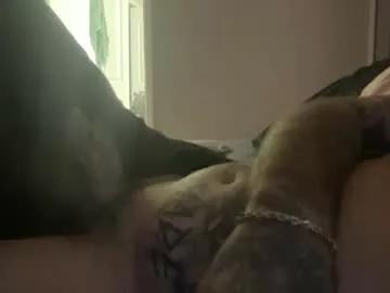 whitemandingo92 from Chaturbate is Freechat