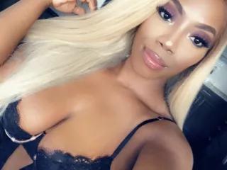 cam to cam craziness with Naked escorts. Check-out the newest collection of silly shows from our matured lustful strippers.